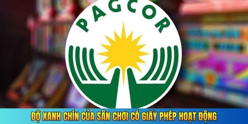 Độ xanh chín của sân chơi có giấy phép hoạt động